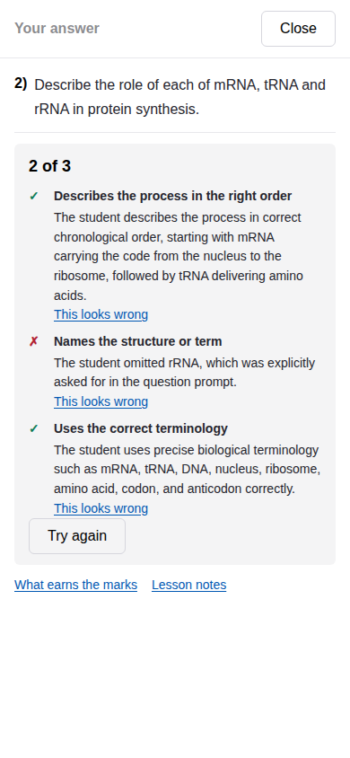 the same marked answer as a phone meets it — in the Focus deck's answer sheet